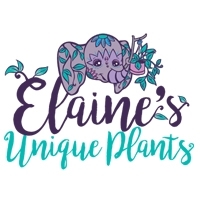 Elaine's Unique Plants & Designs