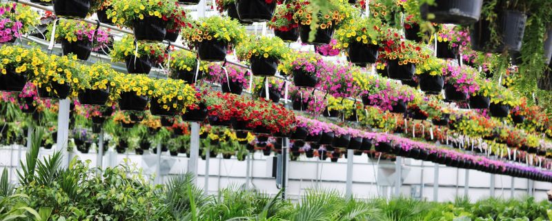 Serres et Jardins Girouard
